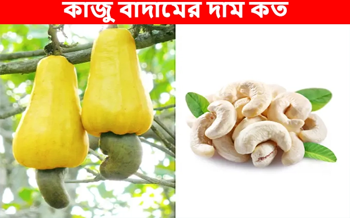 কাজু বাদামের দাম কত