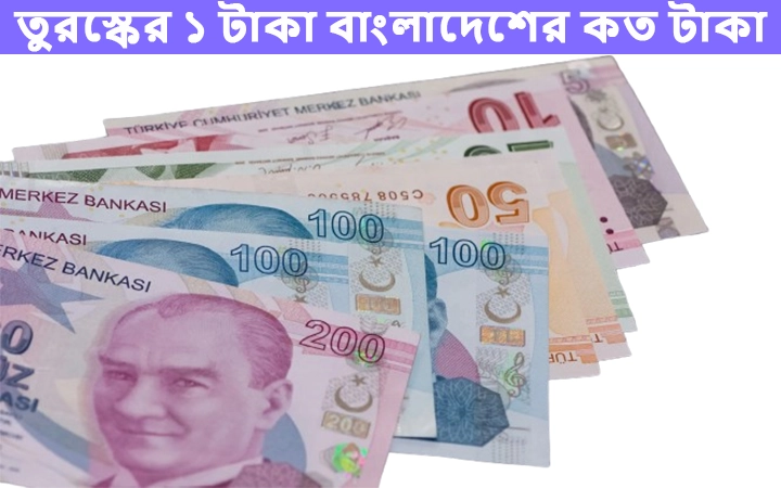 তুরস্কের ১ টাকা বাংলাদেশের কত টাকা