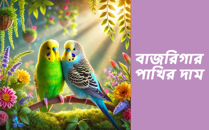 বাজরিগার পাখির দাম